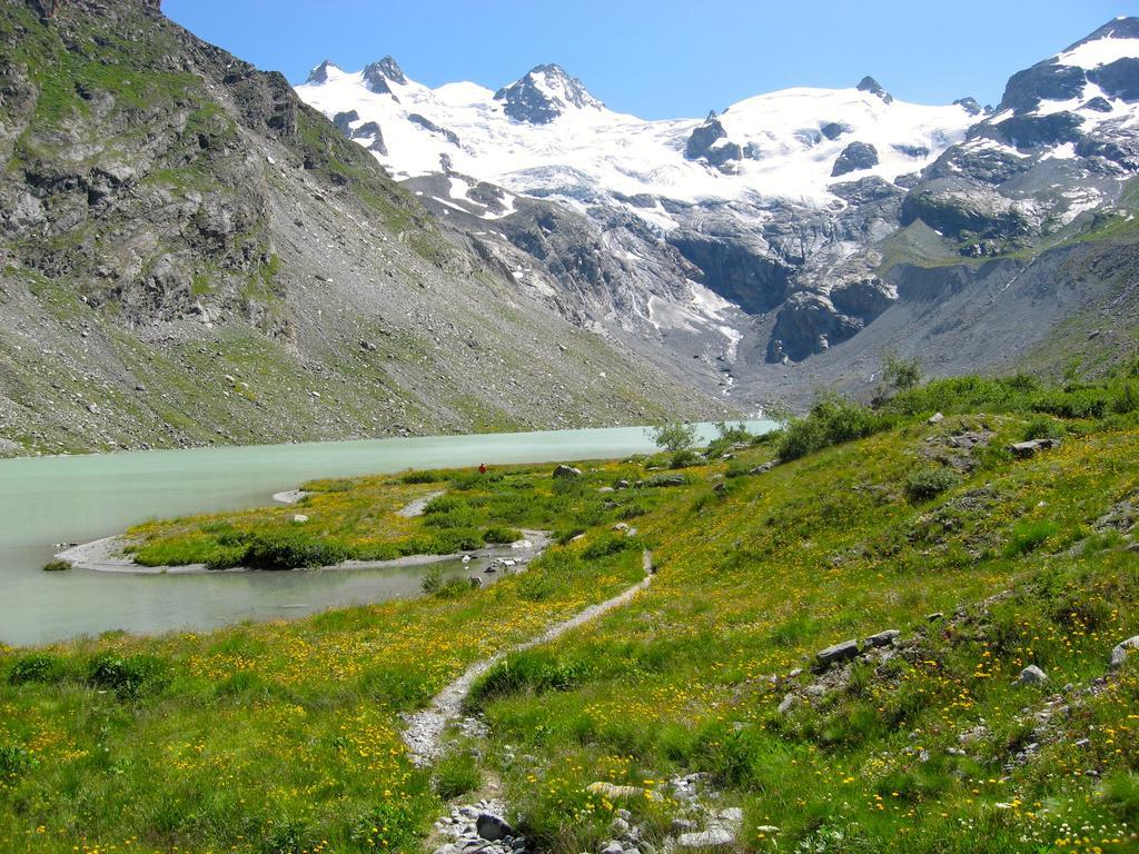 Hotel Roseg-Gletscher Понтрезина Экстерьер фото