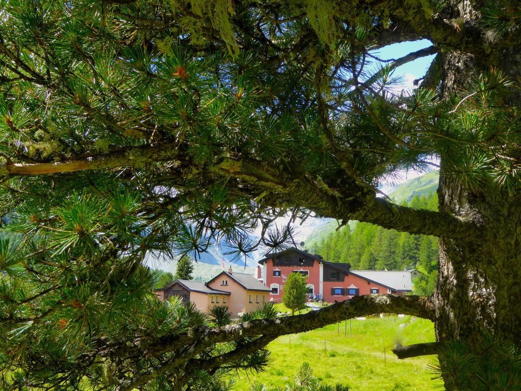 Hotel Roseg-Gletscher Понтрезина Экстерьер фото