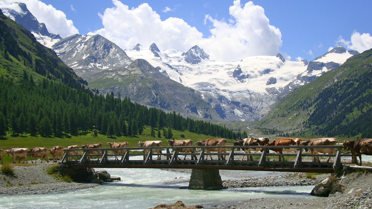 Hotel Roseg-Gletscher Понтрезина Экстерьер фото